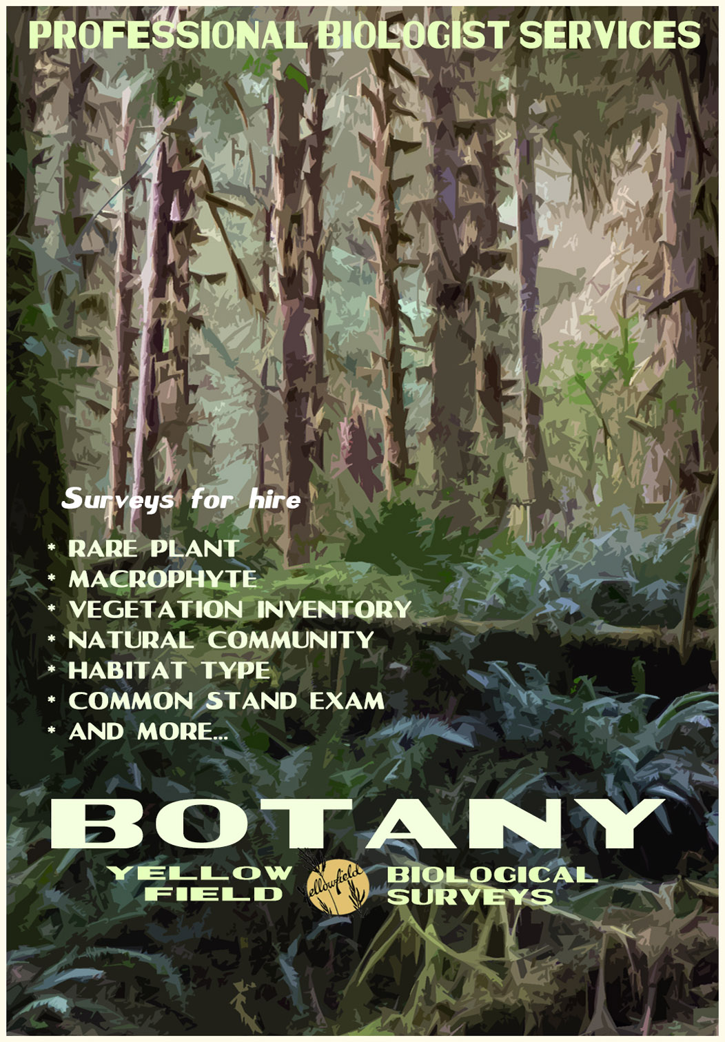 Botany Surveys